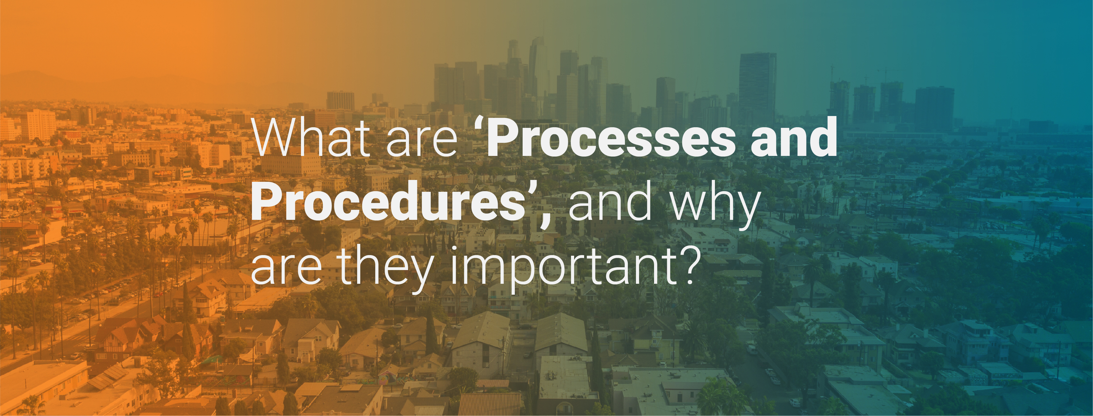What Are 'Processes and Procedures', and Why Are They Important?